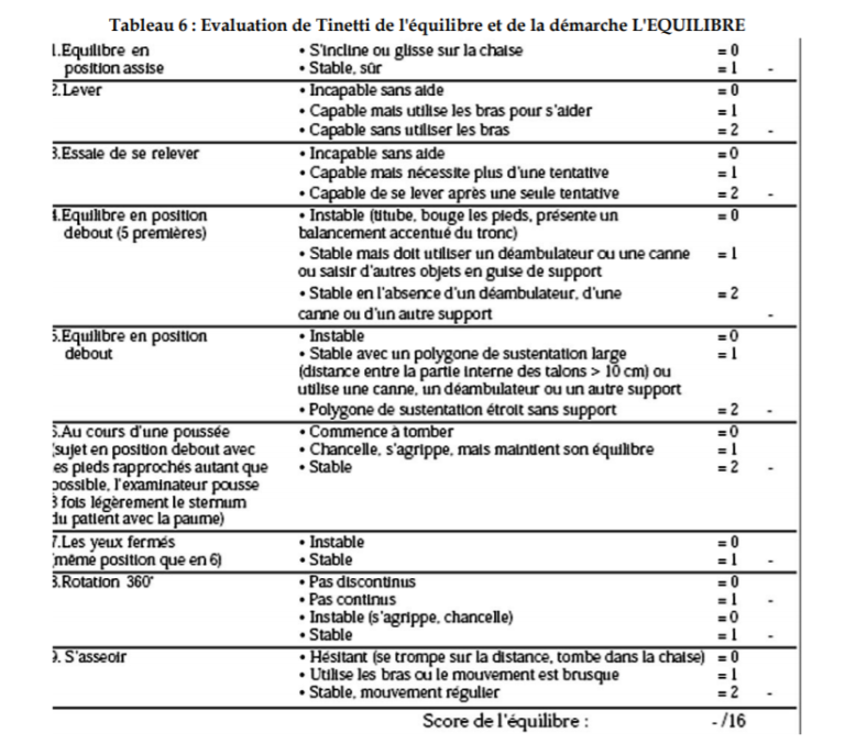 Évaluation Des Risques De Chutes Et Traitement Des Facteurs De Risque ...